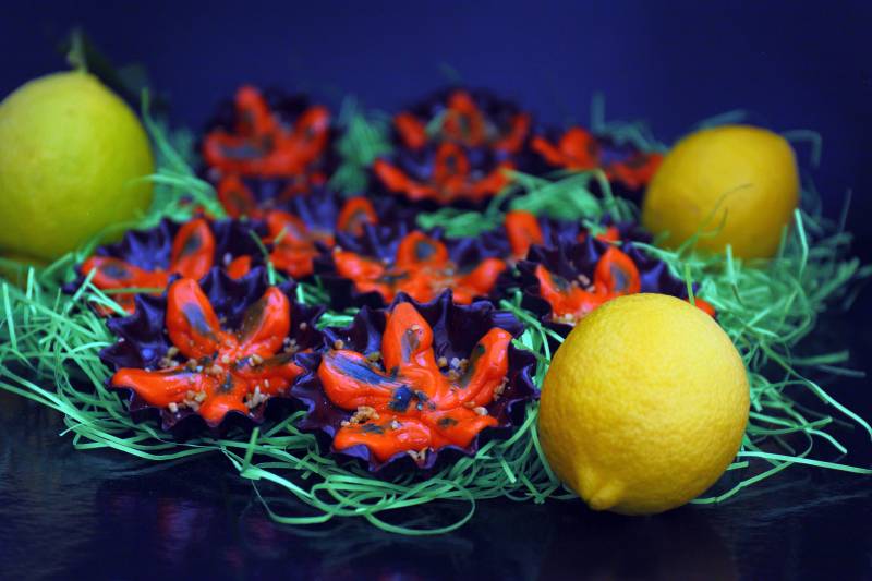 Maître pâtissier, chocolatier, confiseur, glacier de la cote bleue